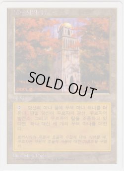 画像1: ウルザの塔/Urza's Tower 【Ver.2】 (5ED)【他言語特集】