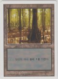 沼/Swamp 【Ver.2】 (5ED)【他言語特集】
