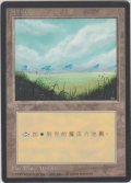 平地/Plains 【Ver.1】 (4ED)【他言語特集】