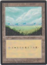 平地/Plains 【Ver.1】 (4ED)【他言語特集】