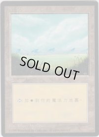 平地/Plains 【Ver.1】 (4ED)【他言語特集】