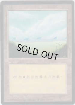 画像1: 平地/Plains 【Ver.1】 (4ED)【他言語特集】