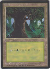 森/Forest 【Ver.3】 (4ED)【他言語特集】
