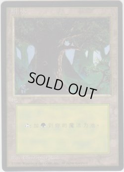 画像1: 森/Forest 【Ver.3】 (4ED)【他言語特集】