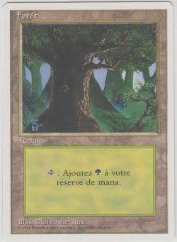 画像1: 森/Forest (3ED)【他言語特集】