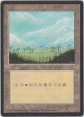 平地/Plains 【Ver.2】 (4ED)【他言語特集】