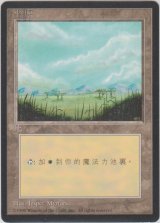 平地/Plains 【Ver.2】 (4ED)【他言語特集】