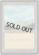 平地/Plains 【Ver.2】 (4ED)【他言語特集】