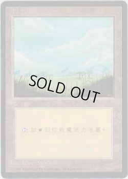 画像1: 平地/Plains 【Ver.2】 (4ED)【他言語特集】