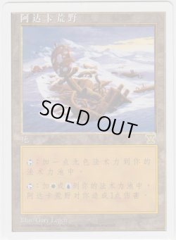 画像1: アダーカー荒原/Adarkar Wastes 【特殊】 (5ED)【他言語特集】