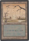 沼/Swamp 【Ver.1】 (4ED)【他言語特集】