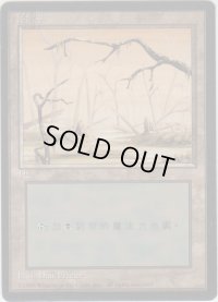 沼/Swamp 【Ver.1】 (4ED)【他言語特集】