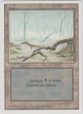 沼/Swamp 【Ver.3】 (3ED)【他言語特集】