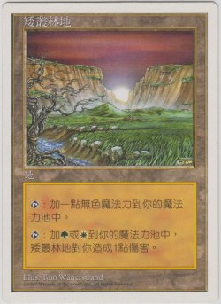 画像1: 低木林地/Brushland (5ED)【他言語特集】