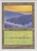 森/Forest 【Ver.3】 (5ED)【他言語特集】