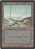 沼/Swamp 【Ver.2】 (4ED)【他言語特集】