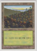 森/Forest 【Ver.2】 (5ED)【他言語特集】