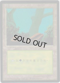 画像1: 森/Forest 【Ver.2】 (4ED)【他言語特集】