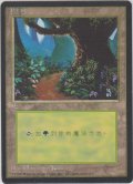 森/Forest 【Ver.1】 (4ED)【他言語特集】