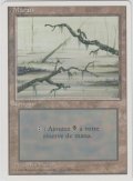 沼/Swamp 【Ver.1】 (3ED)【他言語特集】