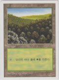 森/Forest 【Ver.1】 (5ED)【他言語特集】