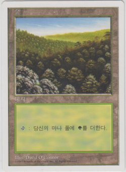 画像1: 森/Forest 【Ver.1】 (5ED)【他言語特集】