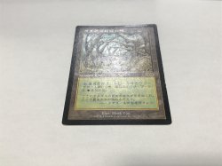 画像2: ガイアの揺籃の地/Gaea's Cradle 【日本語：HPLD】 (USG)【カウントダウン】