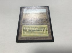 画像2: Savannah 【英語：PLD】 (LEB)【カウントダウン】