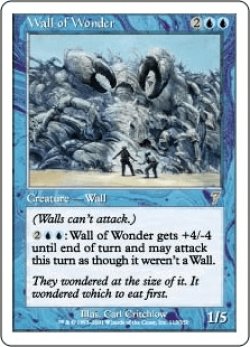画像1: 驚きの壁/Wall of Wonder (7ED)《Foil》