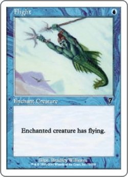 画像1: 飛行/Flight (7ED)《Foil》