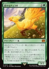 旅するチョコボ/Traveling Chocobo (FIN)