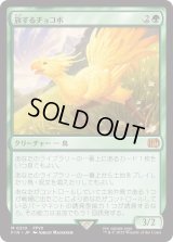 旅するチョコボ/Traveling Chocobo (FIN)