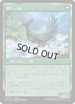 画像2: サブクエスト：チョコボ育成/Sidequest: Raise a Chocobo (FIN)
