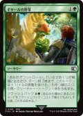 ギサールの野菜/Gysahl Greens (FIN)
