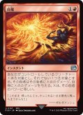 自爆/Self-Destruct (FIN)