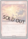 自爆/Self-Destruct (FIN)