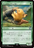 サッズのヒナチョコボ/Sazh's Chocobo (FIN)
