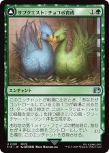 サブクエスト：チョコボ育成/Sidequest: Raise a Chocobo (FIN)