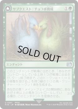 画像1: サブクエスト：チョコボ育成/Sidequest: Raise a Chocobo (FIN)