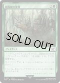 劇場艇の墜落/Airship Crash (FIN)