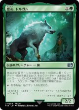 盟友、トルガル/Torgal, A Fine Hound (FIN)