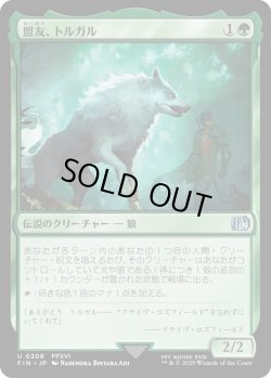 画像1: 盟友、トルガル/Torgal, A Fine Hound (FIN)