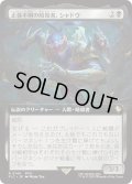 正体不明の暗殺者、シャドウ/Shadow, Mysterious Assassin (FIC)【拡張アート版】