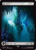 沼/Swamp 【FINAL FANTASYの名所・No.301】 (FIN)《Foil》