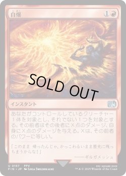画像1: 自爆/Self-Destruct (FIN)《Foil》
