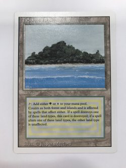 画像2: Tropical Island 【英語：NM-】 (3ED)【カウントダウン】