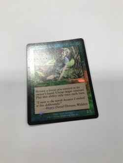 画像4: クウィリーオン・レインジャー/Quirion Ranger 【英語：HPLD】 (FNM)【カウントダウン】