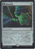 原初の呪物/Primal Amulet (Buy a Box)