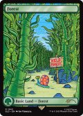 森/Forest (1943) (SLD)《Foil》