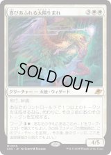 喜びあふれる太陽生まれ/Exalted Sunborn (EOE)